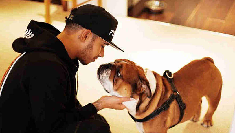 Lewis Hamilton verabschiedet sich von seinem Hund Lewis Hamilton verabschiedet sich von seinem Hund