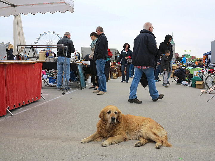 So war der Flohmarkt auf der Theresienwiese.