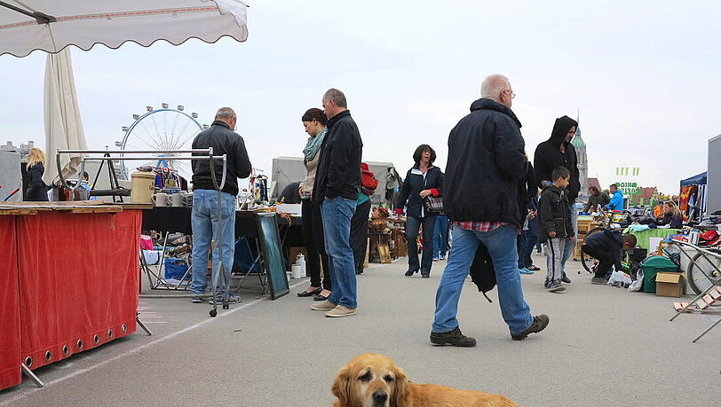 So war der Flohmarkt auf der Theresienwiese. So war der Flohmarkt auf der Theresienwiese.