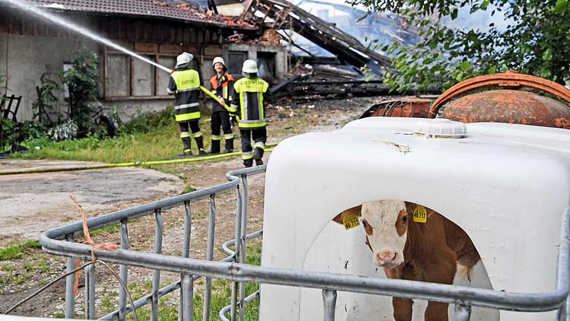 In Sonderdilching brannte am Freitag ein Bauernhof ab. Die Bilder vom Einsatz.