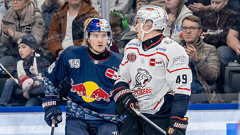 Wie sieht es aus, kommst Du nach N&uuml;rnberg? Nikolaus Heigl (l.) im Gespr&auml;ch mit seinem Bruder Thomas. Es sieht so aus, als w&uuml;rden beide kommende Saison f&uuml;r die Franken st&uuml;rmen.