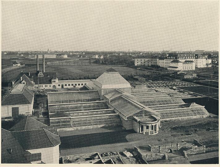 Ein Blick von oben auf die Gewächshäuser 1913.
