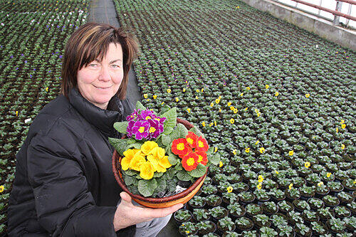 Die Heizung blieb diesen Winter aus, die Blumen gedeihen &ndash; aber nur in Zeitlupe: Marianne Höfler aus dem Knoblauchsland.