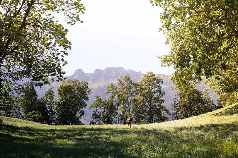 Einfach die Aussicht genießen.