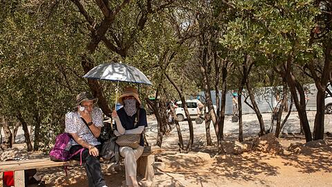 Touristen unter B&auml;umen am Eingang der Akropolis im Hitzesommer 2023.