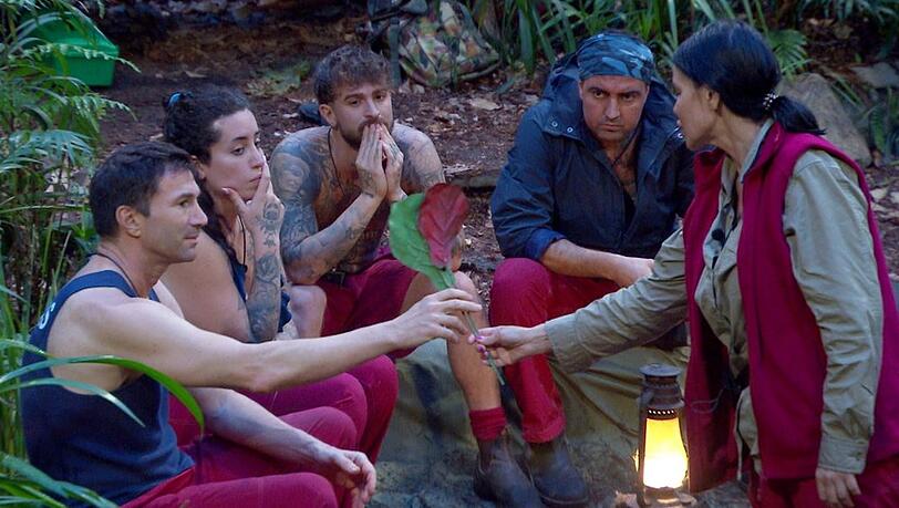 Djamila vergab ihr rotes Blatt an Lucas, dem sie die Dschungelkrone am wenigsten gönnt.