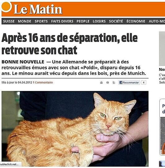 Lässig wie immer: der Kater in der Schweizer Tageszeitung "Le Matin".