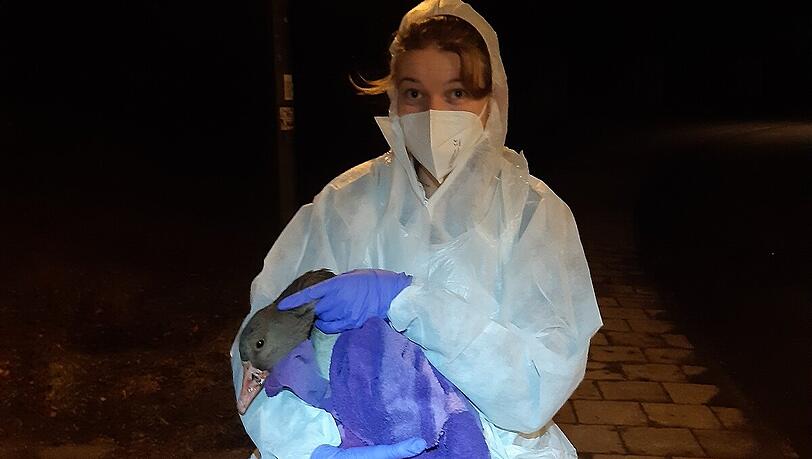 Eine Mitarbeiterin der Tierrettung, gekleidet in einen Ganzkörper-Schutzanzug.