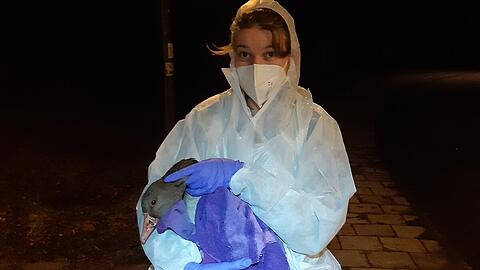 Eine Mitarbeiterin der Tierrettung, gekleidet in einen Ganzkörper-Schutzanzug.