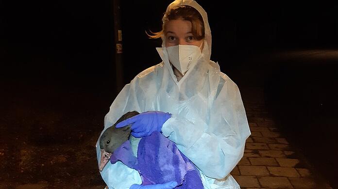 Eine Mitarbeiterin der Tierrettung, gekleidet in einen Ganzkörper-Schutzanzug.