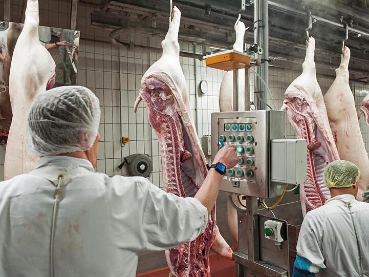Das Bundeskabinett berät über den Arbeitsschutz in Schlachthöfen.