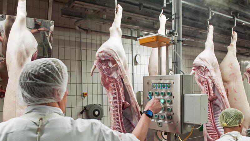 Das Bundeskabinett berät über den Arbeitsschutz in Schlachthöfen. Das Bundeskabinett berät über den Arbeitsschutz in Schlachthöfen.