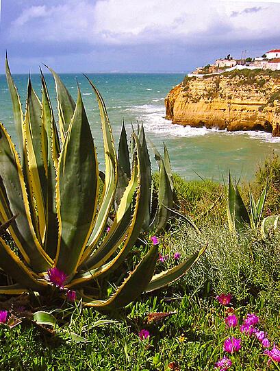 Algarve-Küste bei Carvoeiro.