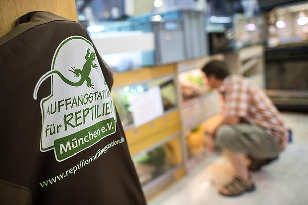 Der Hauptstandort der Reptilienauffangstation in der Maxvorstadt. Ab kommendem Jahr soll es losgehen mit dem Bau eines Reptilien-Refugiums in Neufahrn (Landkreis Freising). Der Hauptstandort der Reptilienauffangstation in der Maxvorstadt. Ab kommendem Jahr soll es losgehen mit dem Bau eines Reptilien-Refugiums in Neufahrn (Landkreis Freising).