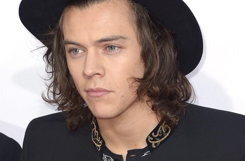 Harry Styles will in Hollywood durchstarten