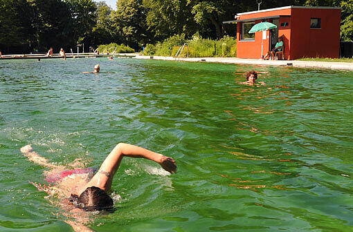 Natur pur in Thalkirchen

Auf fast 400 Metern Länge fließt ein Isar-Arm durch das Bad, das für sein kaltes Wasser bekannt ist. Hier kann man schwimmen oder sich einfach treiben lassen. Neue Hauptattraktion: das neue Schwimmerbecken mit Naturwasser. Öffnungszeiten: Im August von 9 bis 18, an heißen Tagen bis 20 Uhr. Einzelkarte kostet 3,60 Euro. Anfahrt: U3 bis Tierpark, Bus 134 (Rupert-Mayer-Straße), StadtBus 135 (Bad Maria Einsiedel). Parkplätze gibt&rsquo;s gratis.