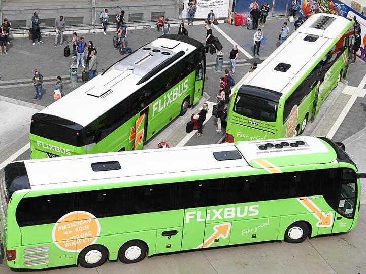 Busse des Unternehmens Flixbus stehen in Frankfurt am Main an einem Terminal.