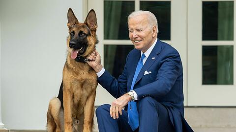 Joe Bidens Schäferhund Commander wurde nun woanders untergebracht.