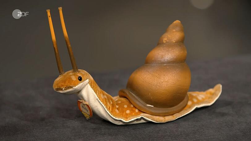 Ebenfalls verkauft wurde die Stoff-Schnecke "Nelly" von Steiff aus der Zeit zwischen 1961 und 1963, deren Wert bei 170 bis 200 Euro lag. Jan Cizek kaufte die Schnecke für 170 Euro. Ebenfalls verkauft wurde die Stoff-Schnecke "Nelly" von Steiff aus der Zeit zwischen 1961 und 1963, deren Wert bei 170 bis 200 Euro lag. Jan Cizek kaufte die Schnecke für 170 Euro.
