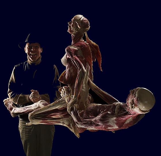 Ein Paar beim Sex: Dieses Plastinat war besonders umstritten