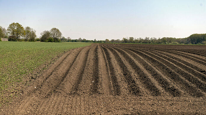 Münchner Landwirte erzählen Abgeordneten von "Tricksereien". (Symbolbild)