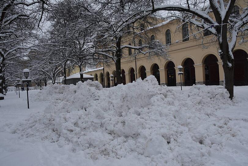 Winterwonderland im Hofgarten