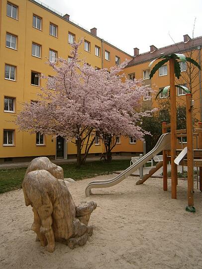 Am Jakob-Gelb-Platz blüht es jetzt auch rosa.