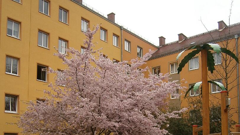 Am Jakob-Gelb-Platz blüht es jetzt auch rosa. Am Jakob-Gelb-Platz blüht es jetzt auch rosa.