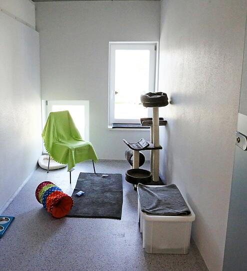 Eins der 50 Katzenzimmer: Jedes Vermittlungs-Tier hat sein eigenes Bett, einen Kratzbaum, einen Stuhl, ein Sitzbrett, ein Katzenklo und Spielzeug. Die Zimmer sind sieben, elf oder 14 Quadratmeter groß. 

 Eins der 50 Katzenzimmer: Jedes Vermittlungs-Tier hat sein eigenes Bett, einen Kratzbaum, einen Stuhl, ein Sitzbrett, ein Katzenklo und Spielzeug. Die Zimmer sind sieben, elf oder 14 Quadratmeter groß.