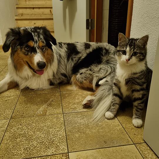 Keira & Kumpeline Yupanki
