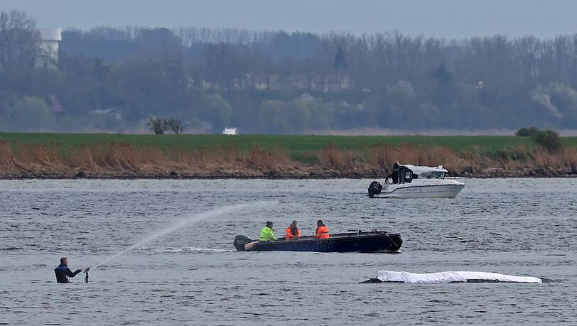 Die Rettungsaktion läuft, aber der Wal sollte am Samstag nicht mehr transportiert werden. Die Rettungsaktion läuft, aber der Wal sollte am Samstag nicht mehr transportiert werden.