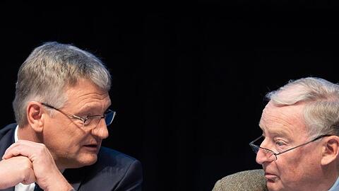 Der AfD-Vorsitzende Jörg Meuthen (l) und Bundestagsfraktionschef Alexander Gauland.