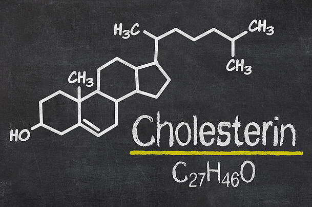 Der menschliche Körper braucht Cholesterin, zu viel davon ist aber ungesund. Der menschliche Körper braucht Cholesterin, zu viel davon ist aber ungesund.