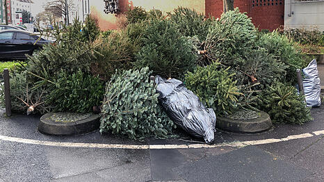 Die frei zug&auml;nglichen Christbaum-Sammelstellen der Stadt M&uuml;nchen liegen an &ouml;ffentlichen Fl&auml;chen und sind beschildert.(Archivbild)