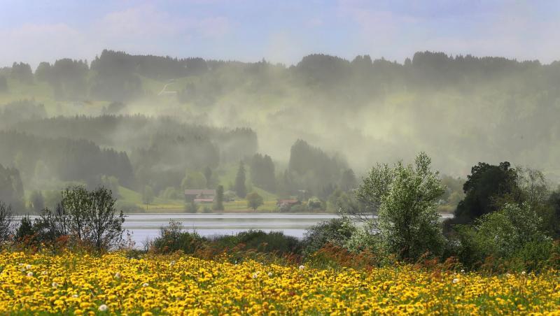 Im aufziehenden Wind weht Blütenstaub aus den Bäumen der Nadelwälder um den Niedersonthofener See. Foto: Karl-Josef Hildenbrand/Archiv Im aufziehenden Wind weht Blütenstaub aus den Bäumen der Nadelwälder um den Niedersonthofener See. Foto: Karl-Josef Hildenbrand/Archiv