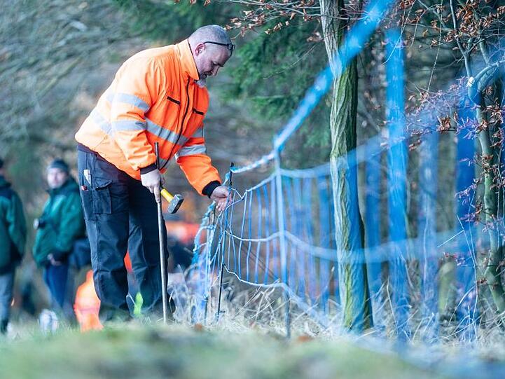 Der Mitarbeiter eines sächsischen Veterinäramtes baut einen Elektro-Wildabwehrzaun auf.
