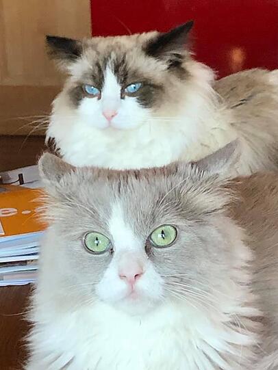 Hilde und Pauli