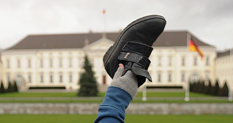 Die über das Netzwerk Facebook bundesweit organisierte Aktion hatte das Motto «Wulff den Schuh zeigen - Shoe for you, Mr. President!». In der arabischen Kultur werden mit dieser Geste Menschen verhöhnt, aber auch Ärger und Verachtung werden so zum Ausdruck gebracht.