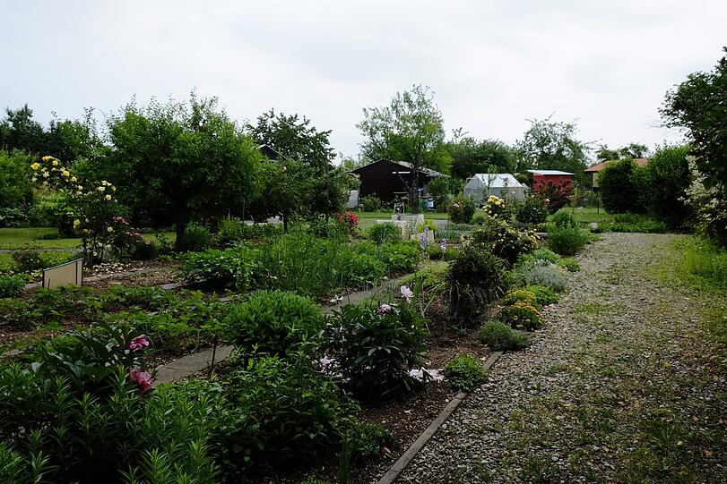 Kein Freizeitgarten: Wenigstens auf einem Drittel der Fläche muss Gemüse oder Obst angebaut werden.