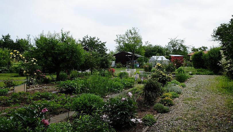 Kein Freizeitgarten: Wenigstens auf einem Drittel der Fläche muss Gemüse oder Obst angebaut werden. Kein Freizeitgarten: Wenigstens auf einem Drittel der Fläche muss Gemüse oder Obst angebaut werden.