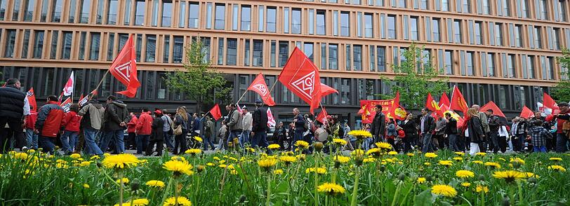 Löwenzahnblüten vor dem Demonstrationszug.