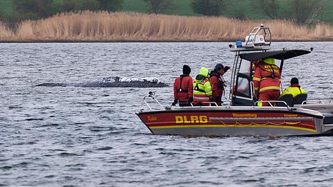 Die DLRG will am Mittwoch aus Kirchdorf auf Poel abziehen.