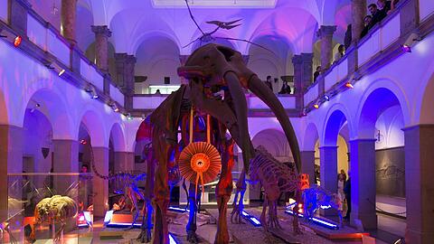 Stimmungsvoll: Ein Urzeitriese im Paläontologischen Museum.