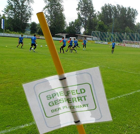 Neue Bilder aus dem Trainingslager: Die Löwen schwitzen in Gottsdorf an der Donau. Die Bilder