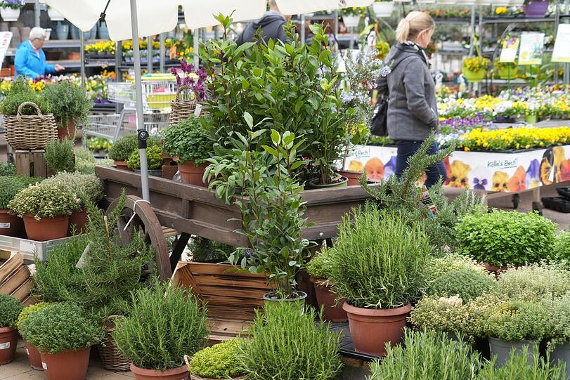Auch Kräuter machen sich gut auf dem Balkon und entfalten ihren aromatischen Geruch.