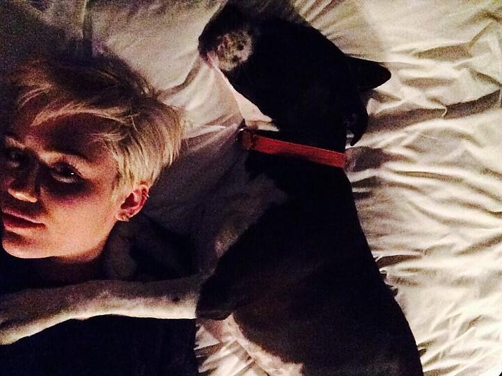 Miley Cyrus hat tierischen Kummer