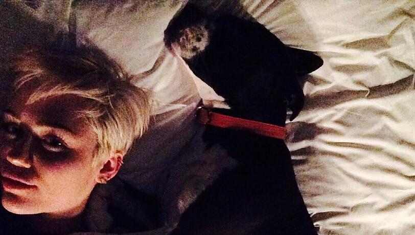 Miley Cyrus hat tierischen Kummer Miley Cyrus hat tierischen Kummer