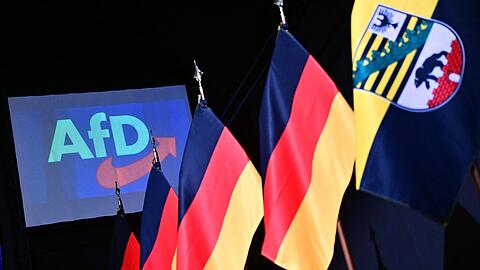 Die Innenminister haben in einer Konferenz &uuml;ber m&ouml;gliche Konsequenzen aus dem AfD-Wahlerfolg bei der Landtagswahl in Sachsen-Anhalt beraten. (Archivbild)