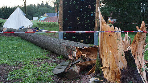 Ein umgestürzter Baum liegt am Mittwoch auf dem Gelände des Zeltlagers bei Rickenbach.