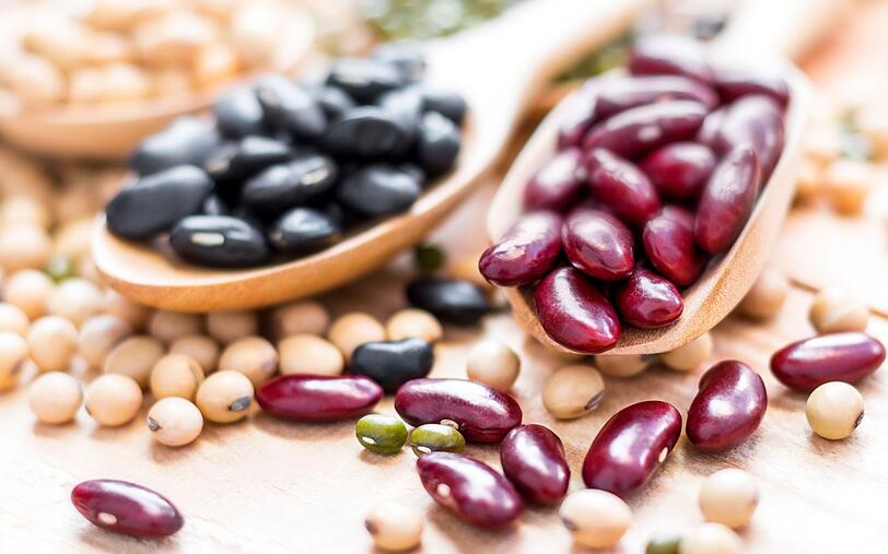 Unterschätzen Sie auch nicht die Hülsenfrüchte. Bohnen, Linsen, Erbsen und Sojaprodukte sind besonders gut geeignet, um Ihren Proteinbedarf zu decken. Auch bleiben Sie durch ihren Verzehr langanhaltend satt. Besonders für Vegetarier und Veganer sind Hülsenfrüchte unverzichtbar, da sie reichlich B-Vitamine enthalten und eine der besten pflanzlichen Eisenquellen darstellen. Unterschätzen Sie auch nicht die Hülsenfrüchte. Bohnen, Linsen, Erbsen und Sojaprodukte sind besonders gut geeignet, um Ihren Proteinbedarf zu decken. Auch bleiben Sie durch ihren Verzehr langanhaltend satt. Besonders für Vegetarier und Veganer sind Hülsenfrüchte unverzichtbar, da sie reichlich B-Vitamine enthalten und eine der besten pflanzlichen Eisenquellen darstellen.